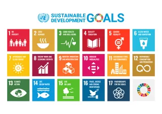 Alle Icons zu den SDGs der United Nations